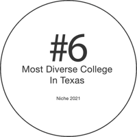 No 6 Diverse College Texas